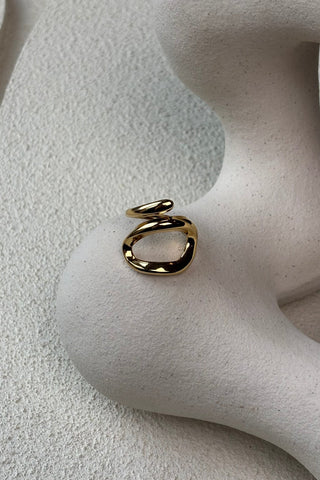 Ring owned